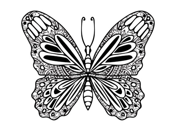 500+ Printable Mandala Designs (Digital Download - PDF) + Bonus Pack